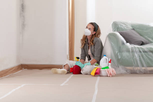 Reliable Basement Mold Remediation contractor in Eden Prairie, MN by WQB Mold Removal